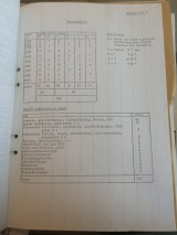 153.jpg
